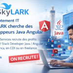 Recrutement IT, SKYLARK cherche des développeurs Java Angular
