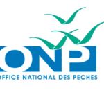 Concours ONP 2026 : 6 Postes Office National des Pêches